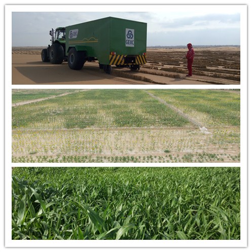 201905281559009370553819.jpg 20181226030906_83034.jpg