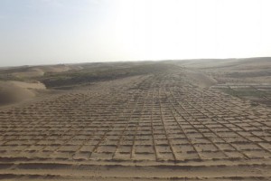 涼州區(qū)山水林田湖北部防風(fēng)固沙林建設(shè)項目 涼州區(qū)山水林田湖北部防風(fēng)固沙林建設(shè)項目