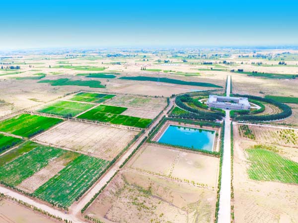 工程與生物治沙再獲國家級榮譽 ——甘肅建投新能源公司獲批國家林業(yè)重點龍頭企業(yè)