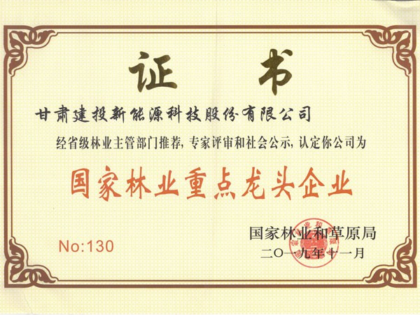 甘肅建投新能源公司喜獲第四屆“中國(guó)林業(yè)產(chǎn)業(yè)創(chuàng)新獎(jiǎng)”及“國(guó)家林業(yè)重點(diǎn)龍頭企業(yè)”稱號(hào)