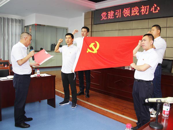 牢記責(zé)任使命，永葆入黨初心 ——新能源公司黨支部開展慶“七一”活動(dòng)