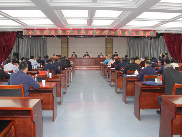 全省荒漠化防治和防沙治沙技術(shù)培訓(xùn)班在甘肅建投成功舉辦 全省荒漠化防治和防沙治沙技術(shù)培訓(xùn)班在甘肅建投成功舉辦