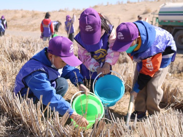 甘肅建投新能源公司沙漠研學(xué)旅行基地舉辦“我與小樹共成長，爭做護(hù)綠小使者”主題研學(xué)活動