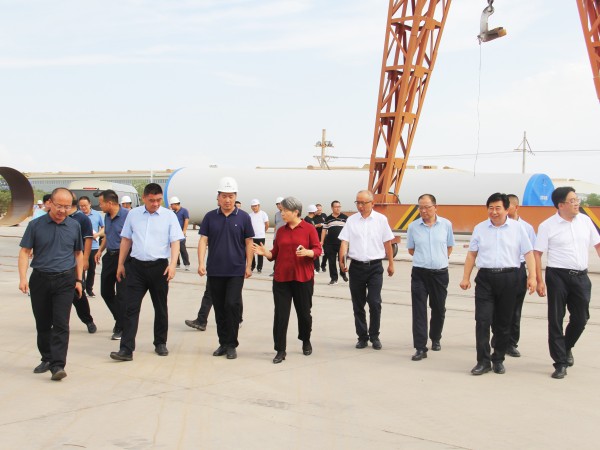 武威市委副書記、市長馬秀蘭一行調(diào)研甘肅建投新能源公司