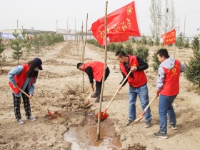 “美麗建投·青春行動” ——新能源公司開展植樹護綠活動